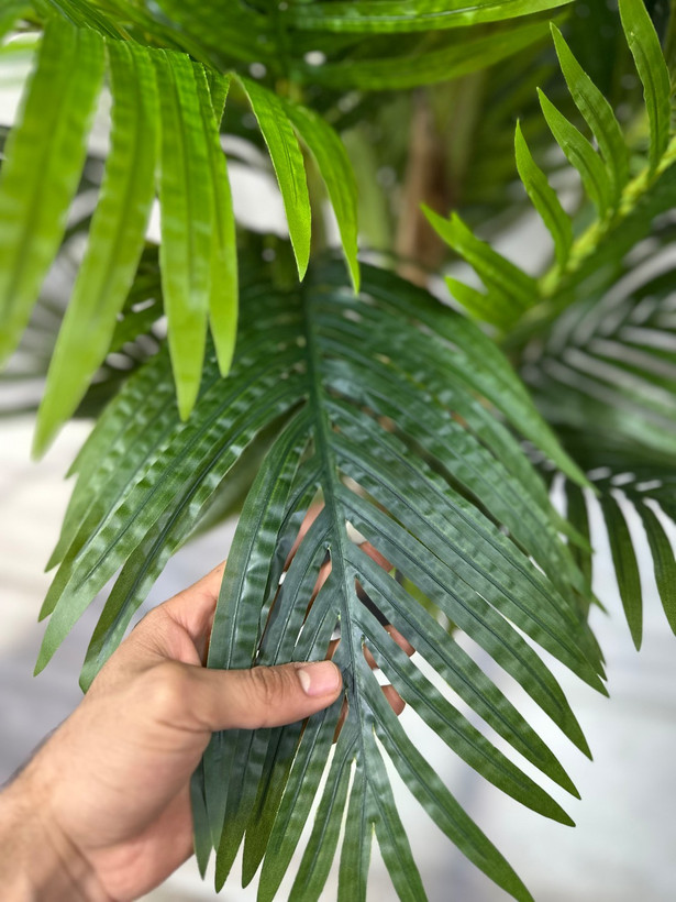 درختچه مصنوعی کنتیا ۵ تنه(شامادورا)۲۲۰