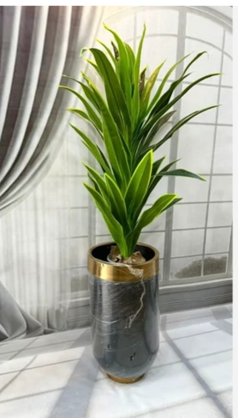 درختچه مصنوعی بلالی (دراسینا) ارتفاع ۱۳۰