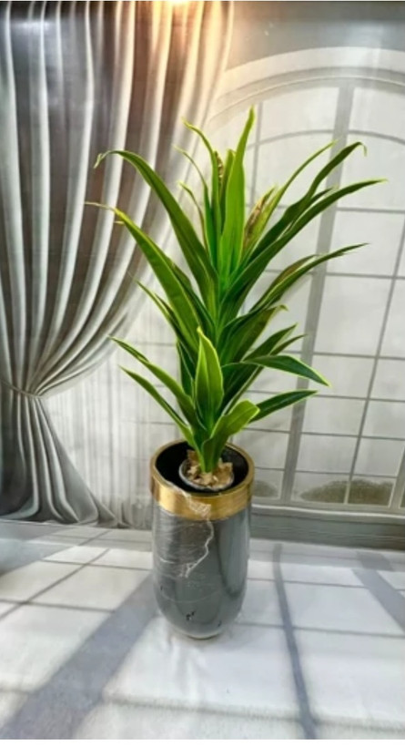 درختچه مصنوعی بلالی (دراسینا) ارتفاع ۱۳۰