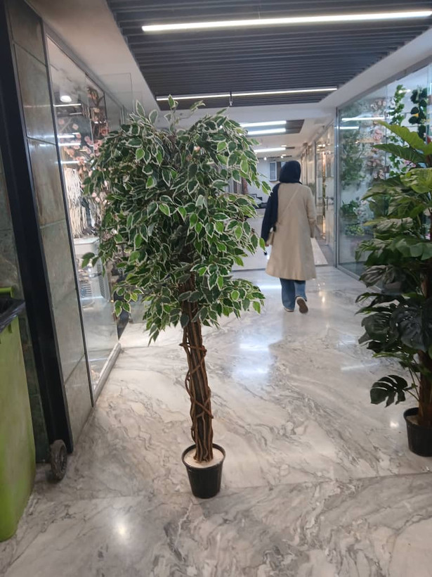 درختچه مصنوعی بنجامین ابلغ سوپر لوکس ارتفاع ۱۷۰