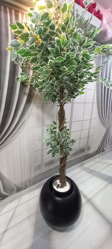 درختچه مصنوعی بنجامین ابلغ سوپر لوکس ارتفاع ۱۷۰