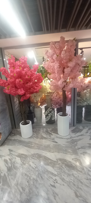 درختچه شکوفه ارتفاع ۱۸۰ مشابه طبیعی وارداتی