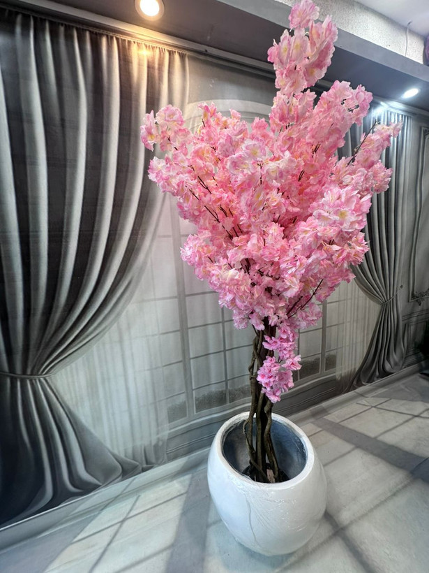 درختچه شکوفه ارتفاع ۱۸۰ مشابه طبیعی وارداتی