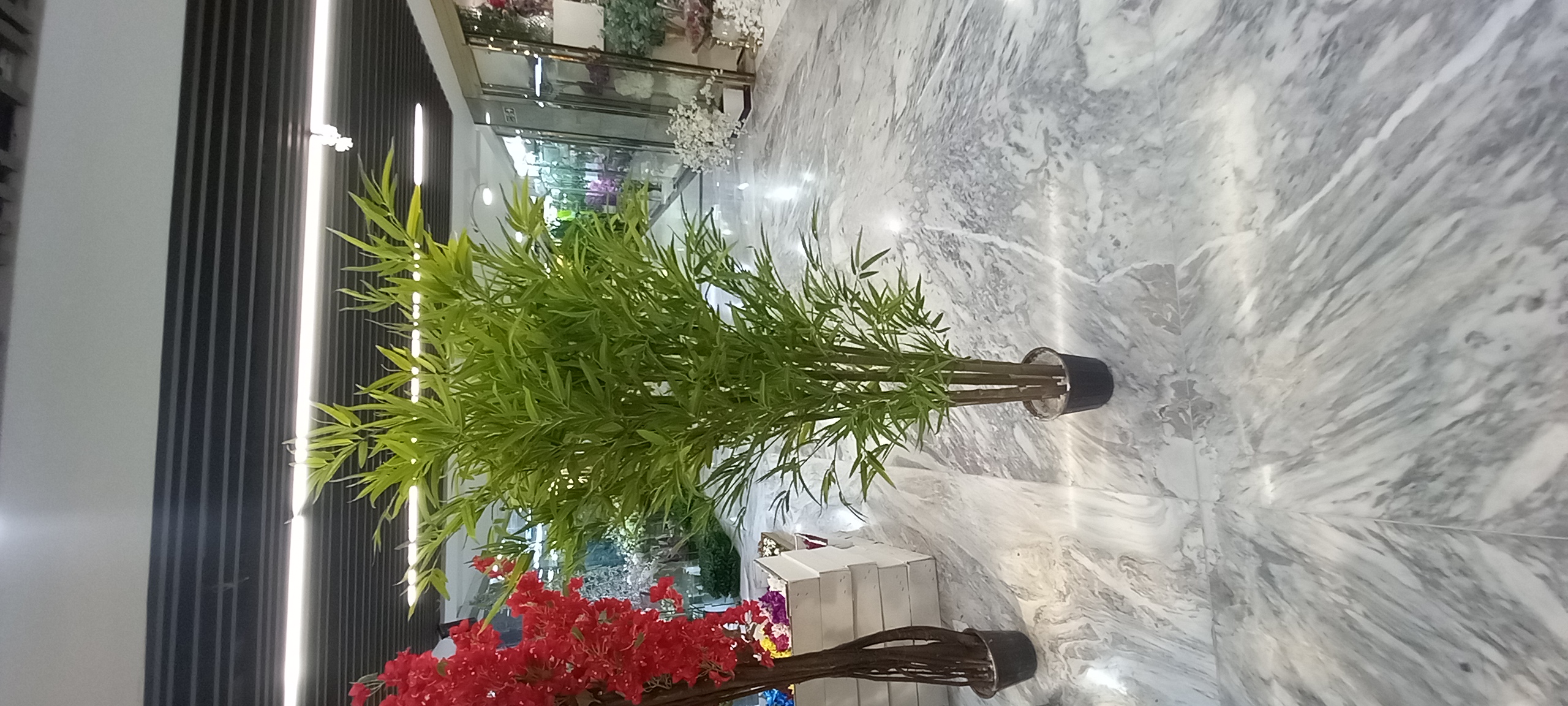 درختچه مصنوعی بامبو مدل اروپایی بسیار مشابه طبیعی. ارسال فوری