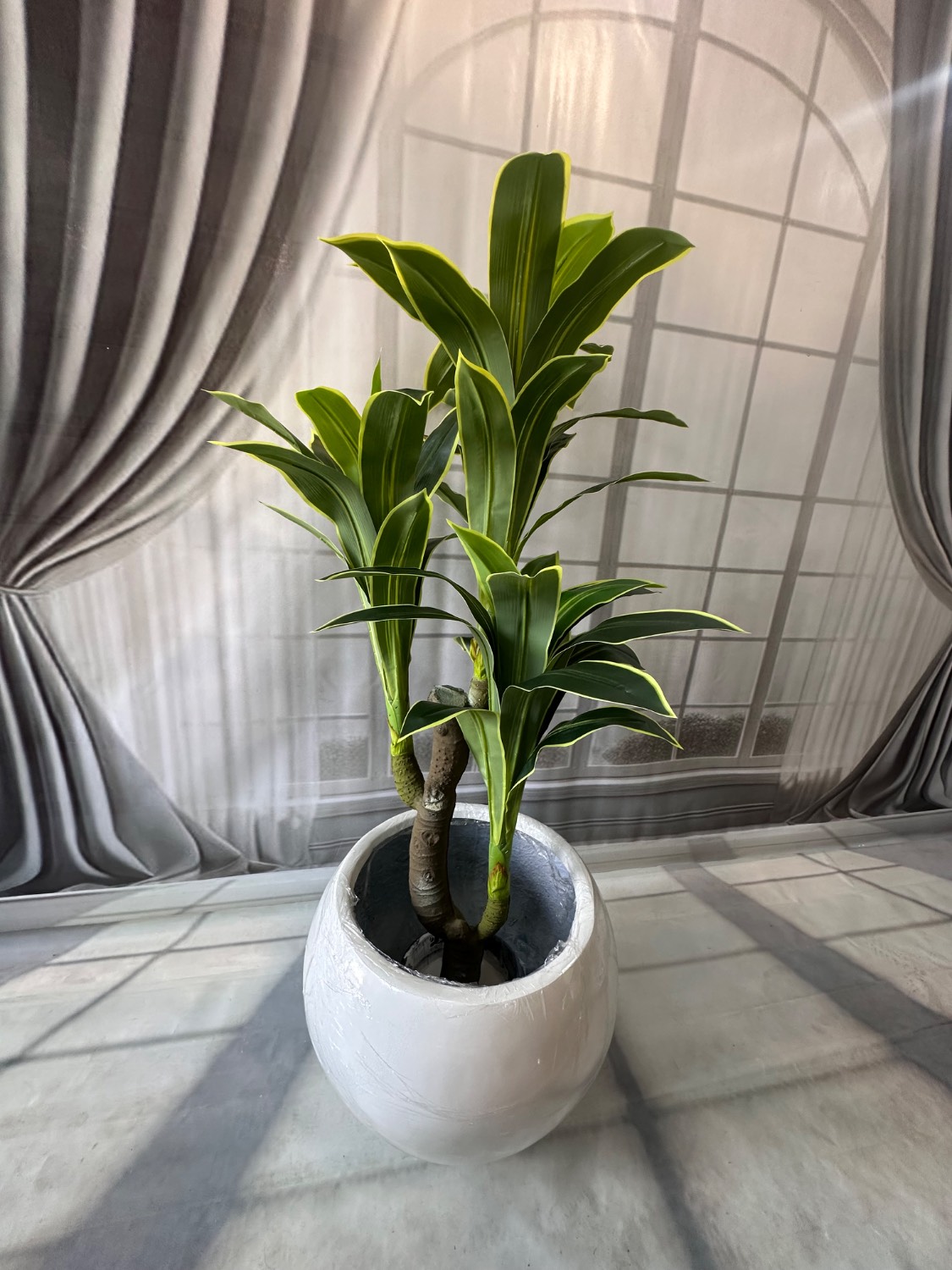 عکس روبه رو