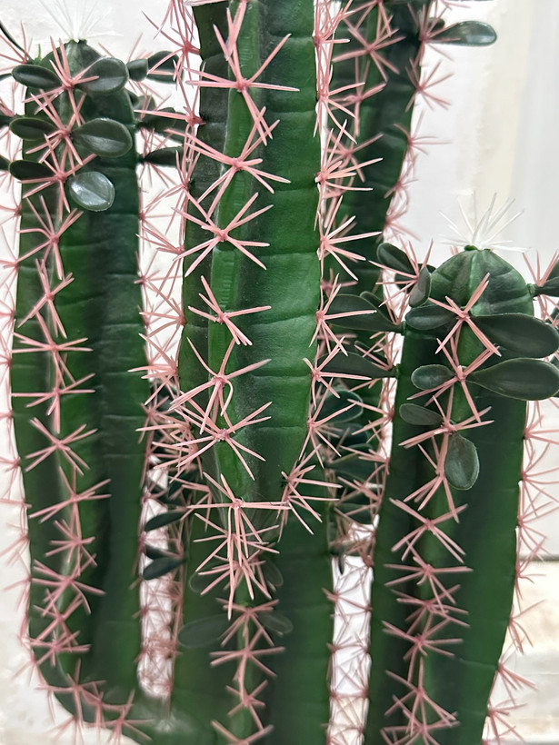 گل کاکتوس مصنوعی درجه یک وارداتی قابل شستشو شباهت زیاد به طبیعی +ارسال فوری