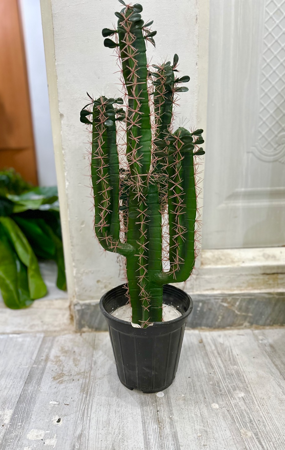 گل کاکتوس مصنوعی درجه‌ یک وارداتی قابل شستشو شباهت زیاد به طبیعی +ارسال فوری