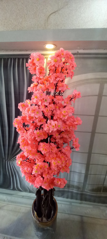 نمای کامل از درختچه شکوفه با ظاهری کاملا طبیعی