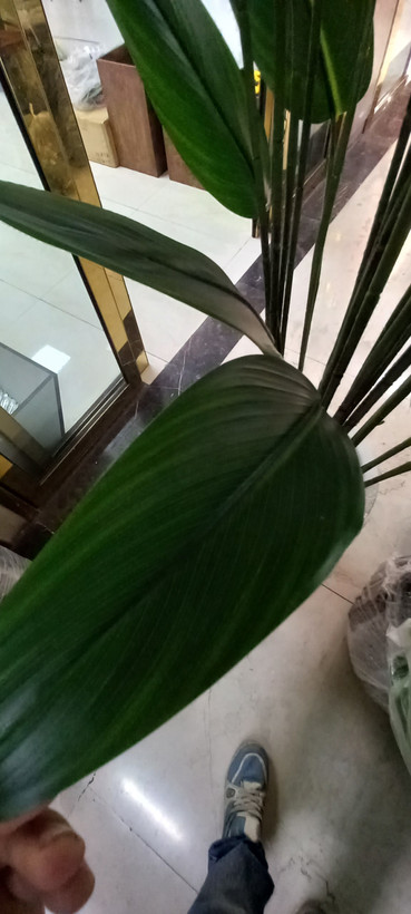 جنس برگ درجه یک وارداتی چرم لمسی