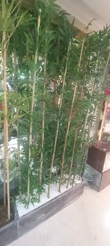 دیوار سبز ودکور گیاهی