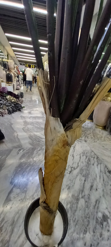 جنس تنه کار شده با پوست طبیعی