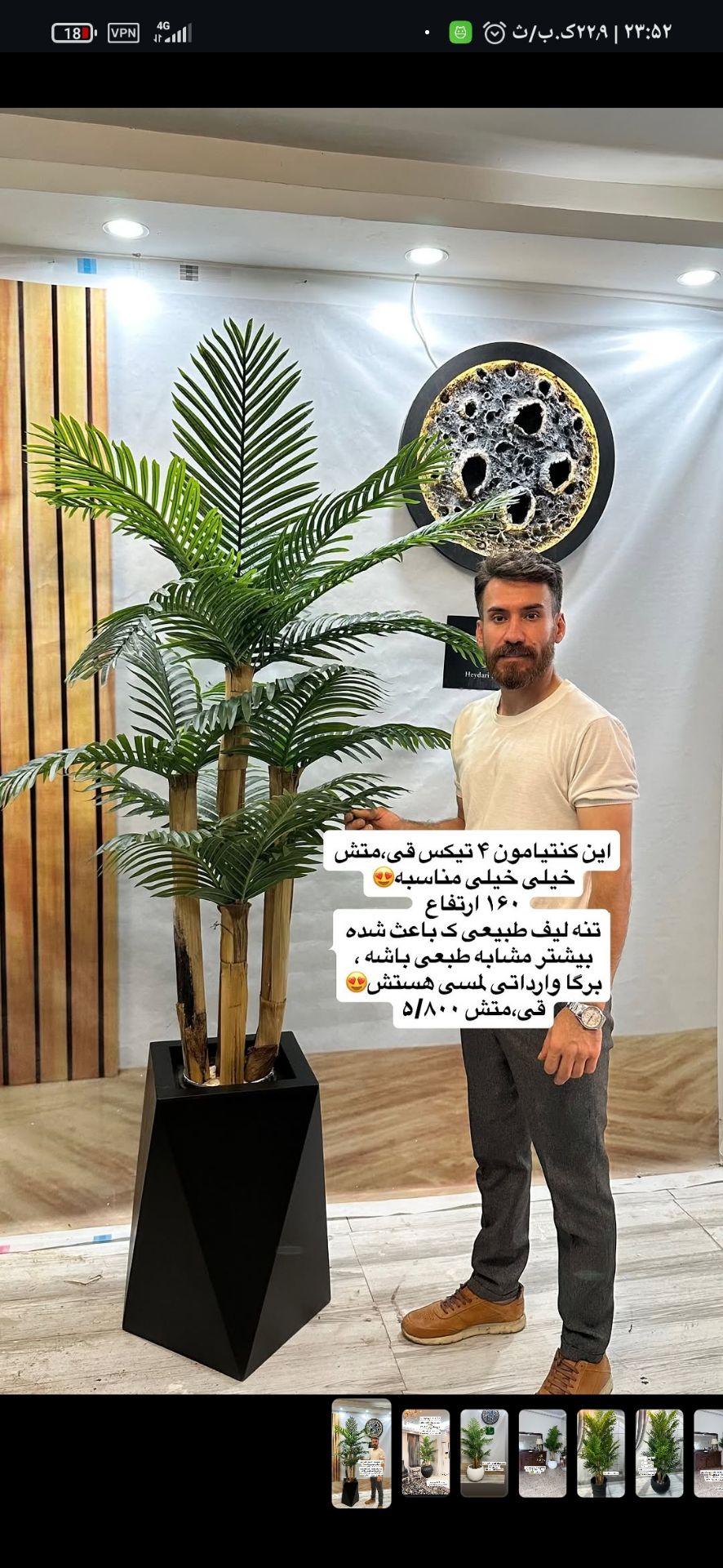 درختچه مصنوعی کنتیا ۴ تنه سرسبزی همیشگی در هر فصل بدون‌ نگهداری و آبیاری/ارسال فوری