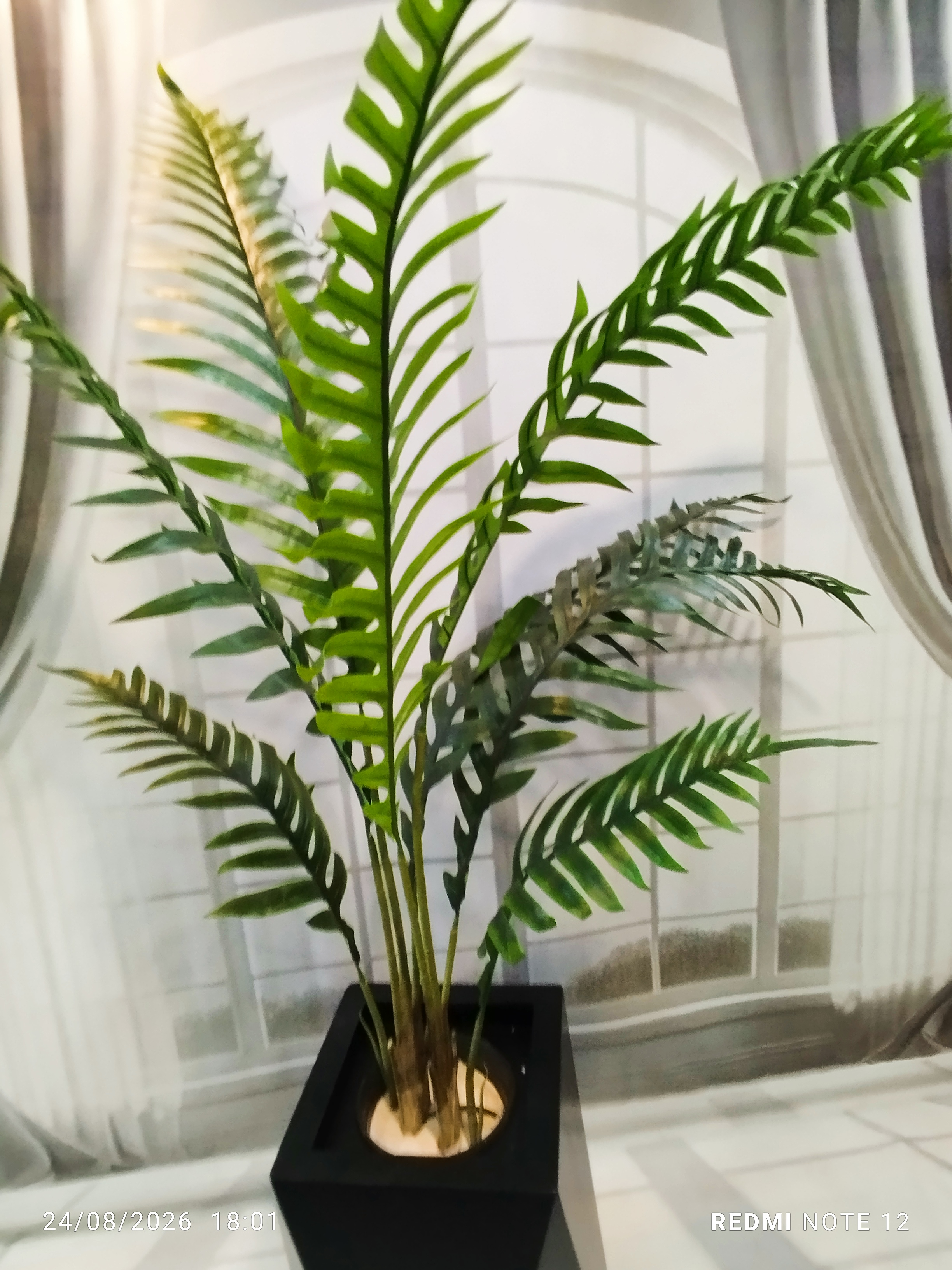 نمای روبه رو