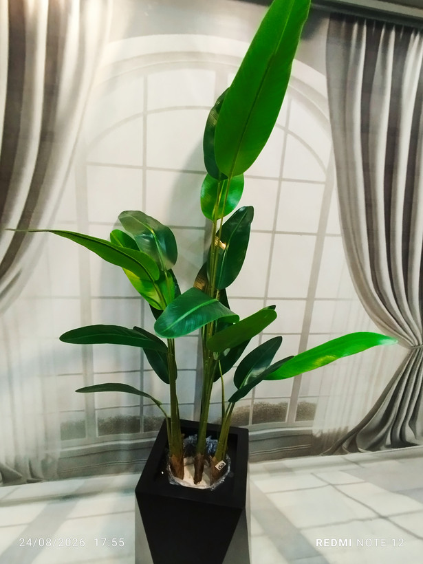 درختچه مصنوعی پرنده بهشتی مدل سوزنی ۱۸ برگ با بافتی نرم و زنده نما/ارسال فوری