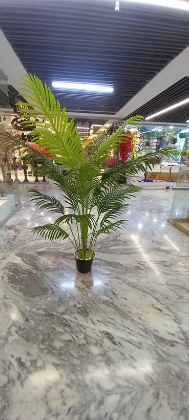 نمای روبه رو