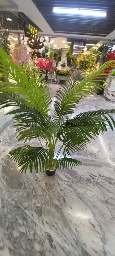 نمای بالا از درختچه مصنوعی سیکاس