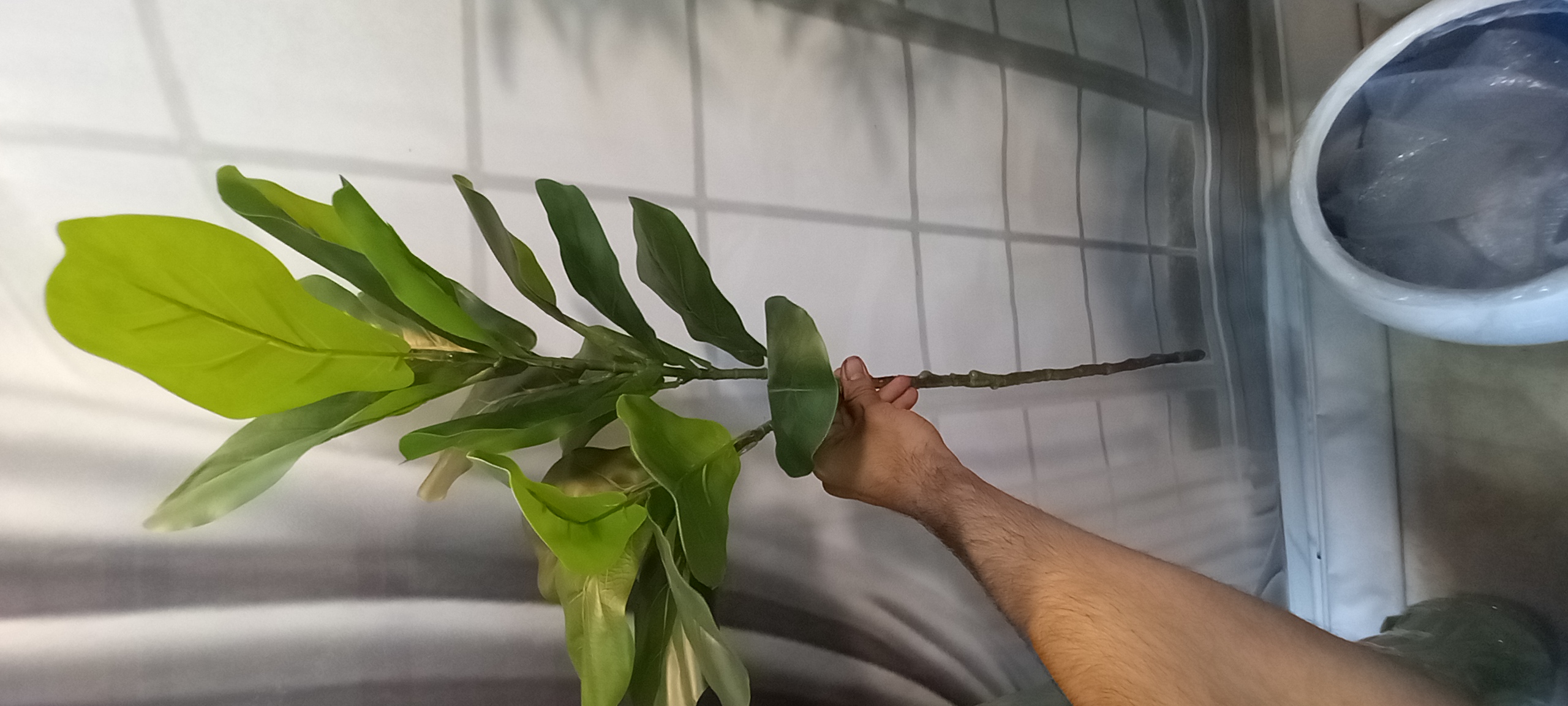 شاخه مصنوعی فیکوس لیراتا / درجه یک چرم لمسی وارداتی/ارسال فوری