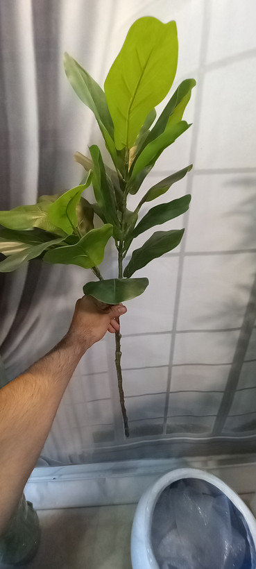 شاخه مصنوعی فیکوس لیراتا / درجه یک چرم لمسی وارداتی/ارسال فوری