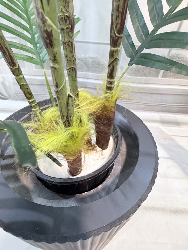 نمای جنس تنه