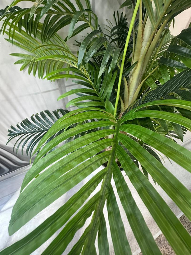 نمای جنس برگ